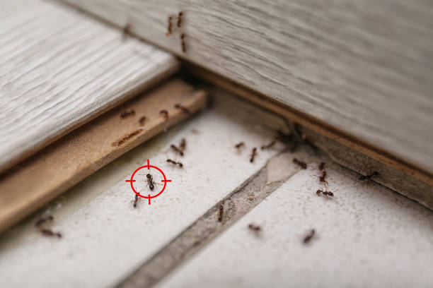 Pest Control Cost in Fairport Harbor, OH