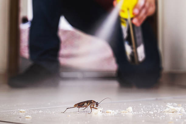Best Commercial Pest Control Services  in Fairport Harbor, OH