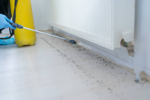 Best Bed Bug Extermination  in Fairport Harbor, OH